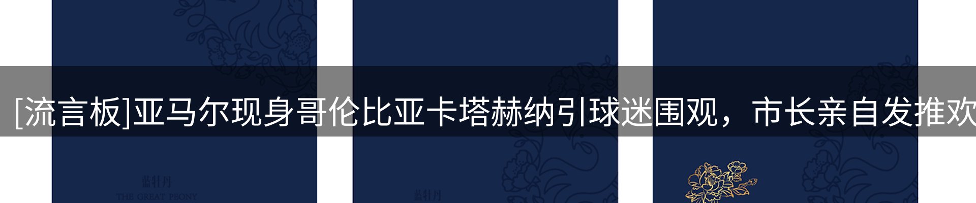 资讯动态